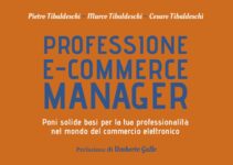 Professione e-commerce manager